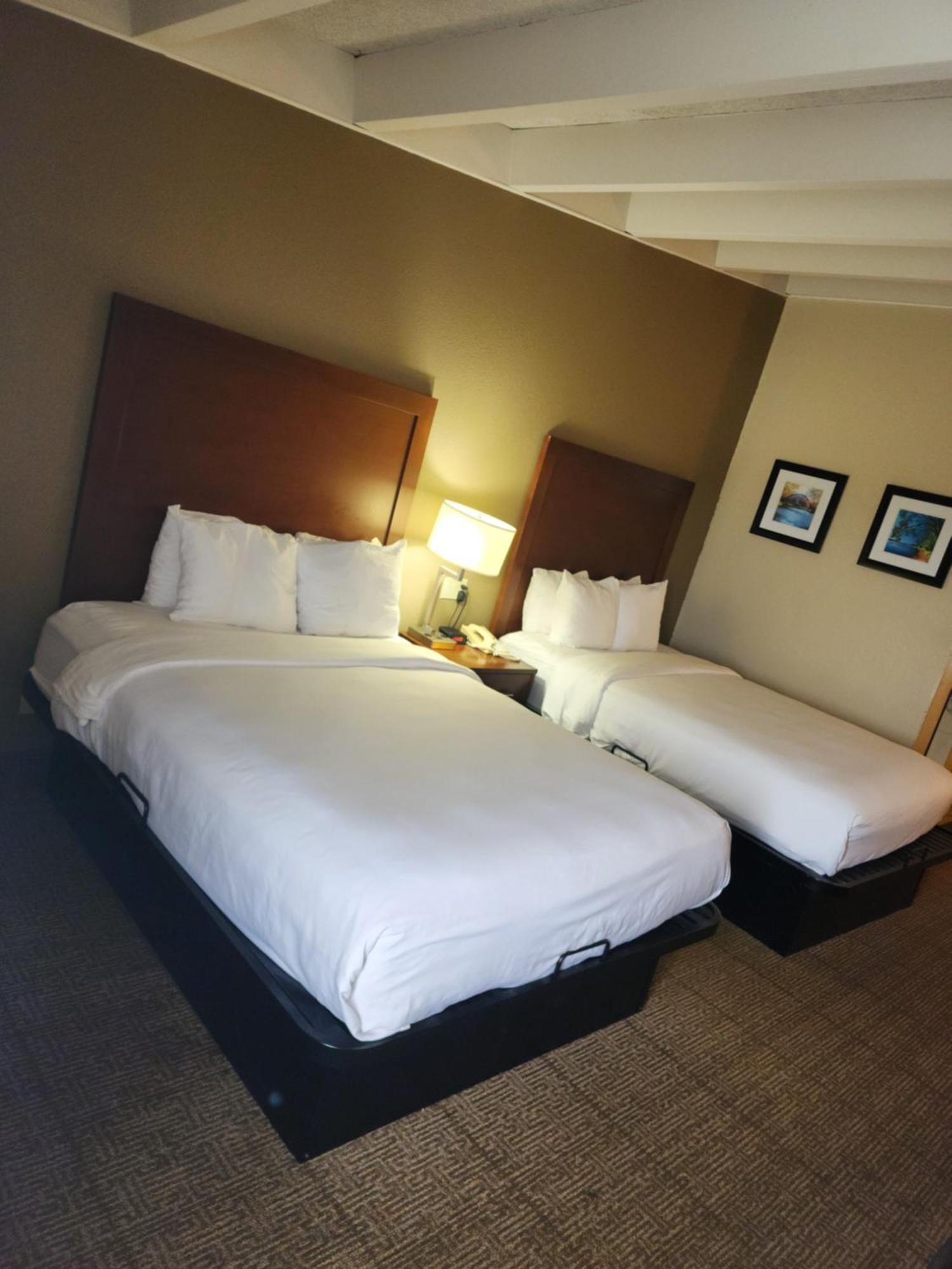 Comfort Inn & Suites Madison - Airport Exterior foto